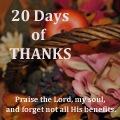 20 Days of Thanks Button