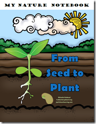 From Seed to Plant