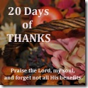 20 Days of Thanks Button