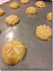 sand dollar cookies 1