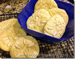 sand dollar cookies 2